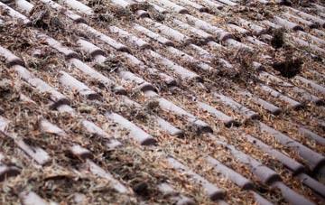 Sockety roof cleaning companies