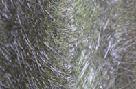 Sockety fibreglass roof work